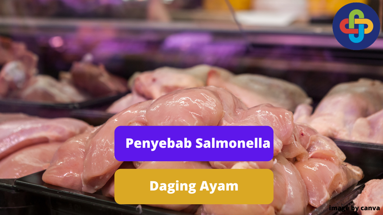 Berikut Beberapa Penyebab Infeksi Salmonella Daging Ayam